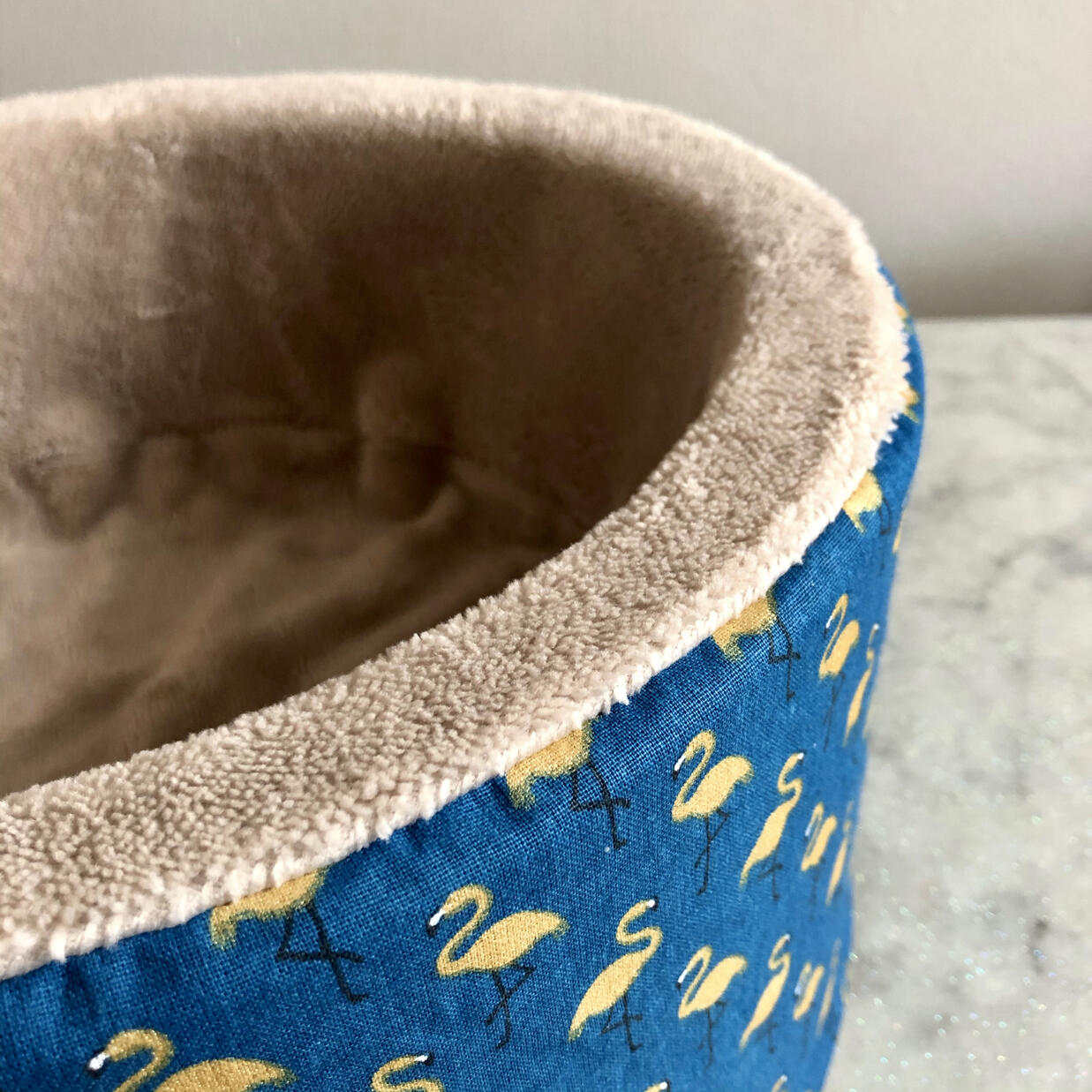 Dodos ronds Aristide 3